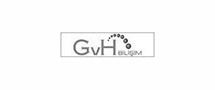 GvH Bilişim