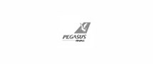 Pegasus